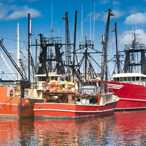 Did you know commercial fishing is the most dangerous job in the U.S.?